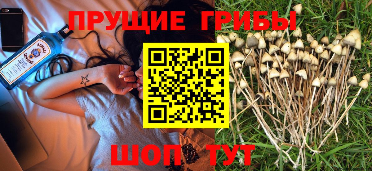 купить наркоту  Вход с VPN  Псилоцибиновые грибы прущие грибы  Химки  Псилоцибиновые грибы MAGIC MUSHROOMS 